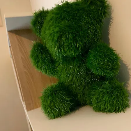 Mayotte Escale Apartman Liancourt