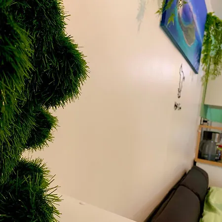 Mayotte Escale Liancourt