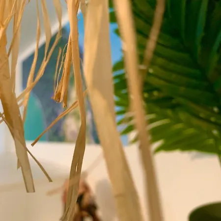 Mayotte Escale Liancourt