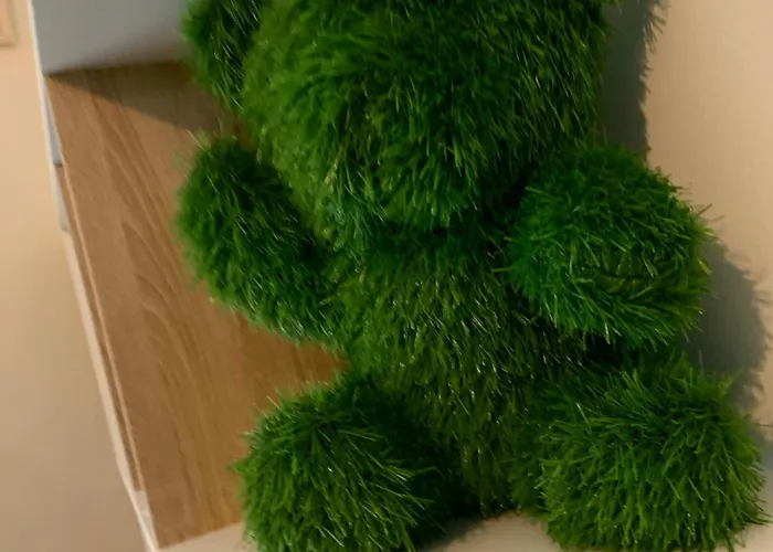 Mayotte Escale 公寓 Liancourt