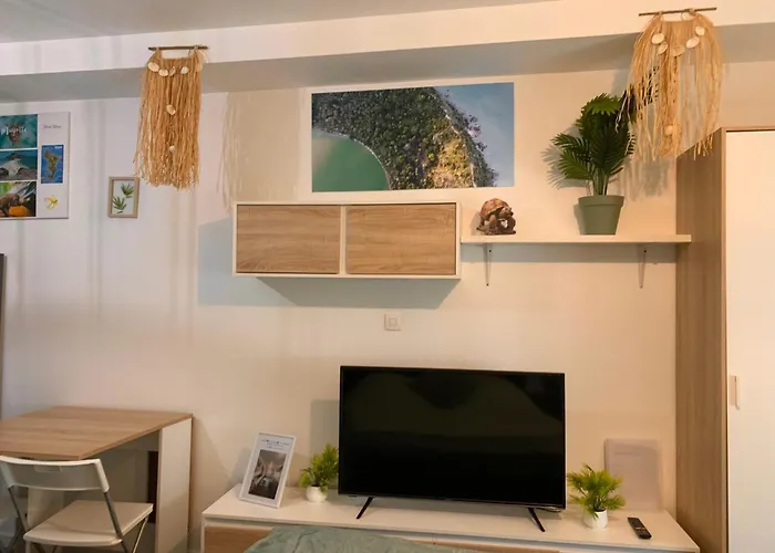 公寓 Mayotte Escale